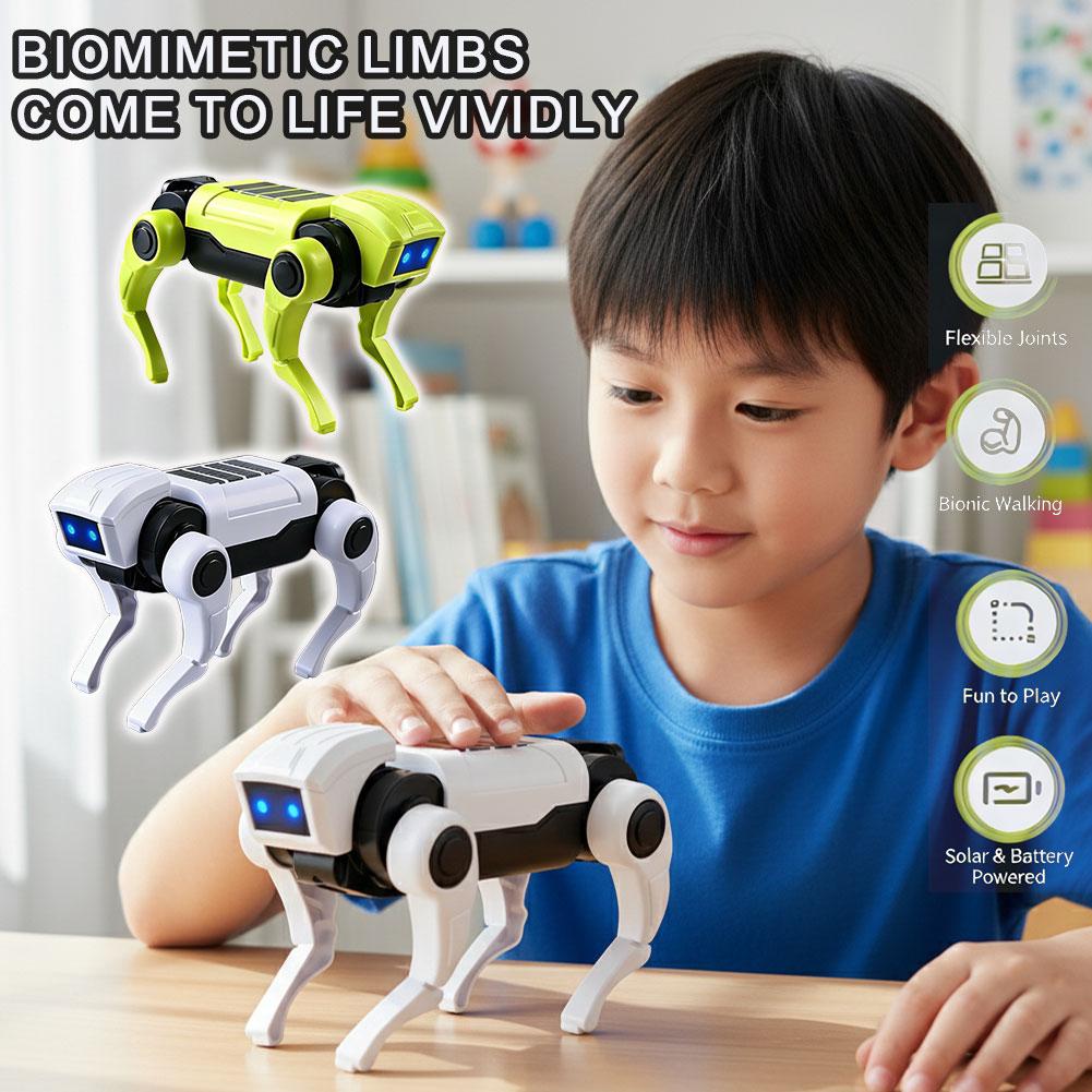 Science Project Diy - DIY Montaj RC Robot Köpek Oyuncak