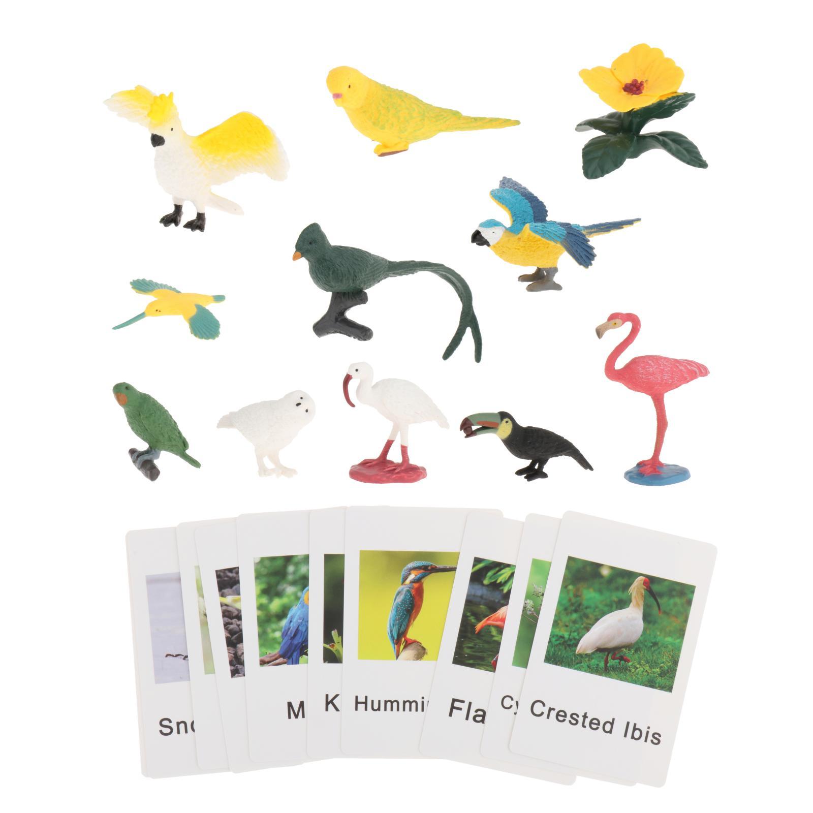 Flaş Kartlı Montessori Hayvan  - Science Nature incelemesi ve fiyatı