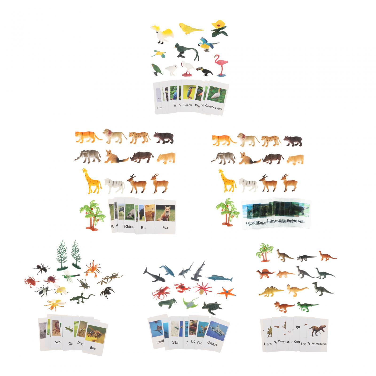 Flaş Kartlı Montessori Hayvan  - Science Nature incelemesi ve fiyatı