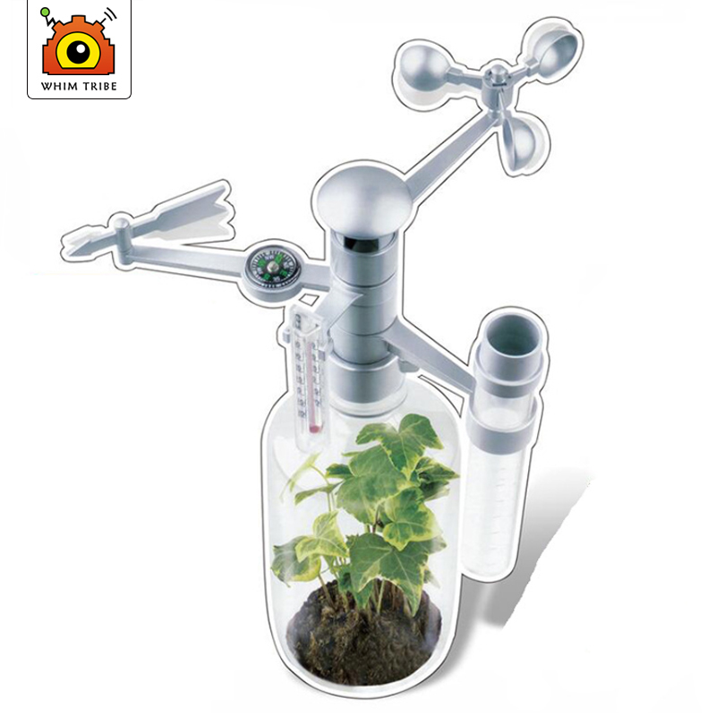 DIY ToySet Entelektüel Bilim H - Science Nature incelemesi ve fiyatı